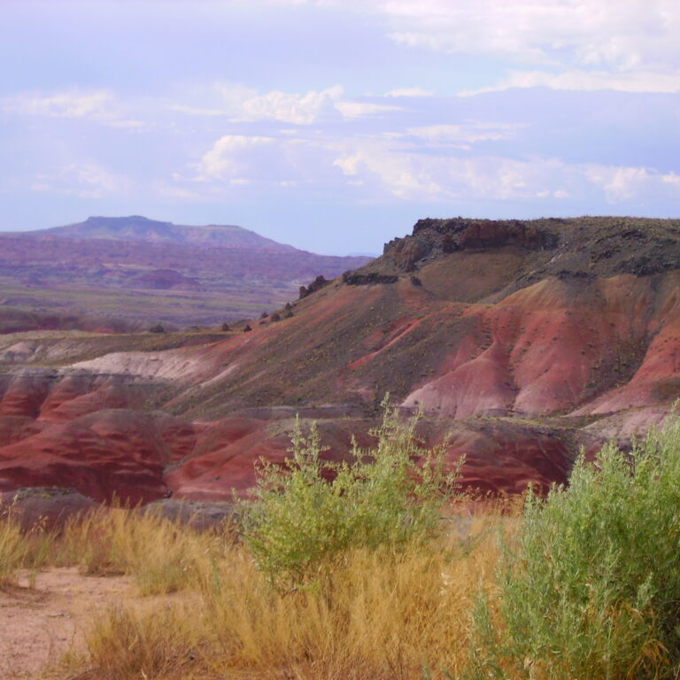 Painted Desert The Painted Desert